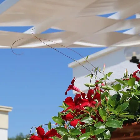 Mare Relax * Lido Marini