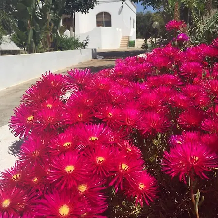 Mare Relax 리도 마리니