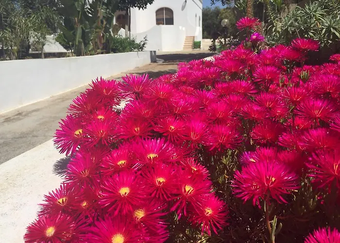 Mare Relax Lido Marini